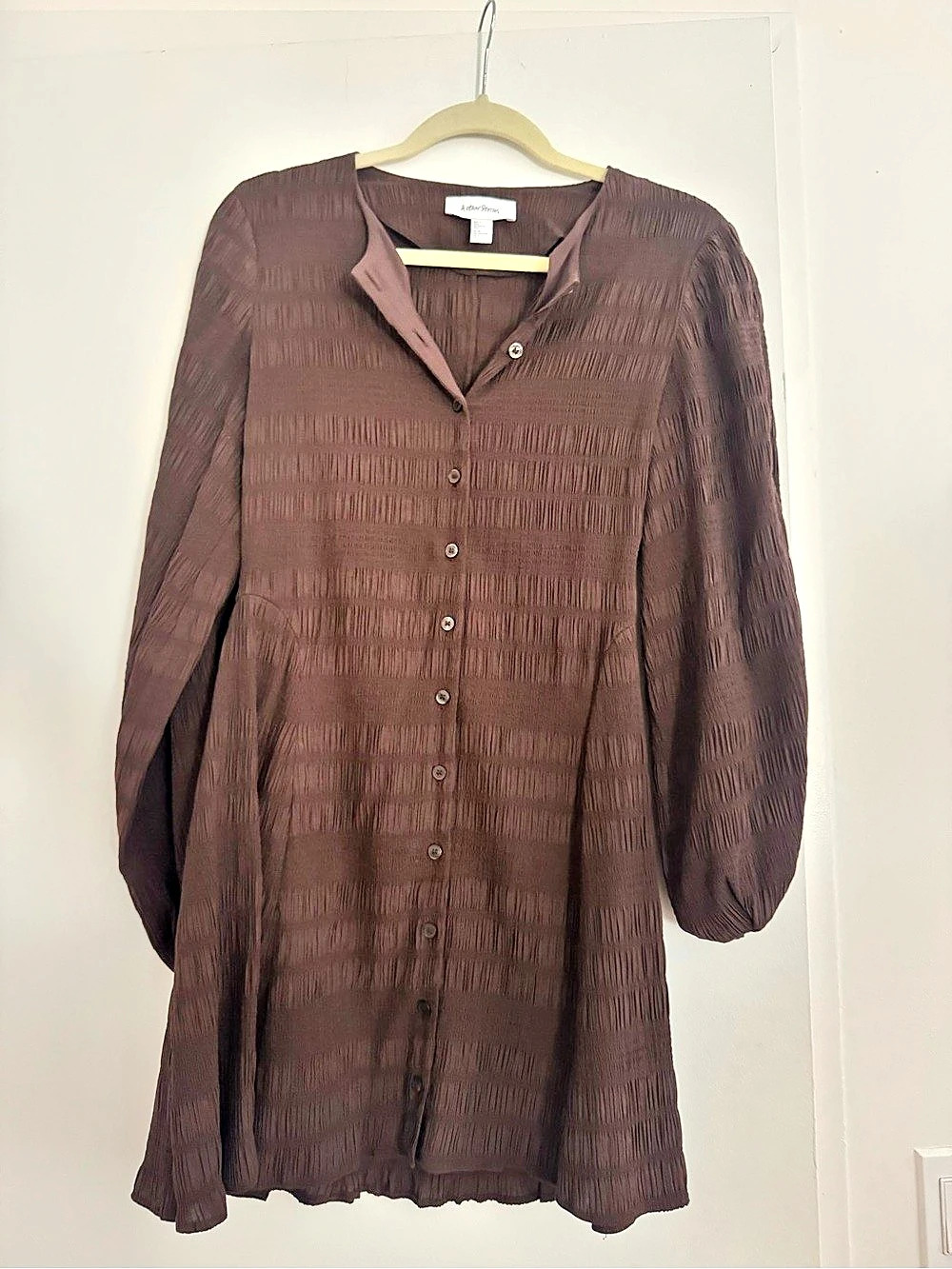 & Other Stories Smocked Balloon-Sleeve Mini Dress & Brown